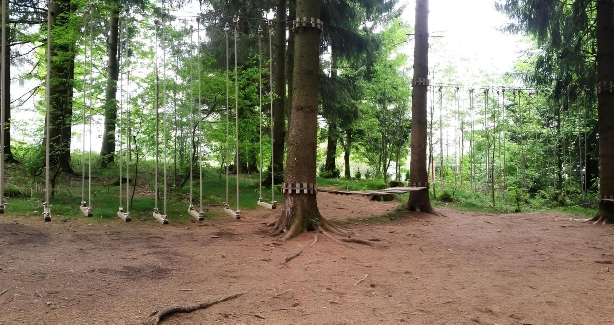 Modern & Vintage Bocksbergblick Ferienpark Hahnenklee Goslar Exteriér fotografie